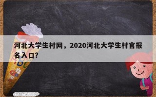 河北大学生村网，2020河北大学生村官报名入口？