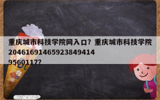 重庆城市科技学院网入口？重庆城市科技学院204616914659238494149560117？
